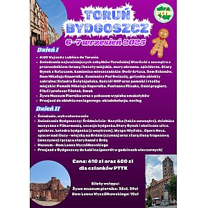 1746783232_Purple And Black Simple Halloween Sale A4 Document (1).png
